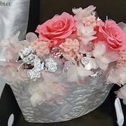 ￥4980ケース付　15x20x15