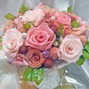 ￥10000ケース付　20×25x20