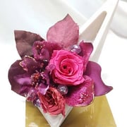 PF1221_￥3700ケース付　13x15x13