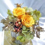 ￥3700　15x20x15ケース付