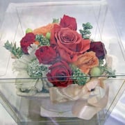 ￥4200(ｹｰｽ付き）　13x15x13