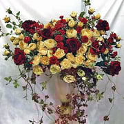 ￥20000　53×57x24