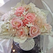 ￥10000ケース付　20×25x20