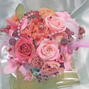 ￥5000ケース付　20x25x20