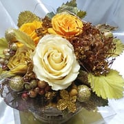 ￥5800ケース付　20x25x20