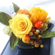 ￥3700ｹｰｽ付　15×17x15