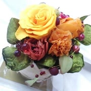 ￥3700ｹｰｽ付　13×15x13