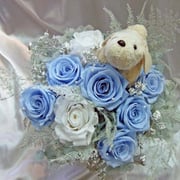 ￥10000　33×24x21