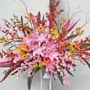 ￥10000　178x212x37