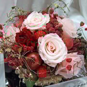 ￥5000ｹｰｽ付　15x20x15