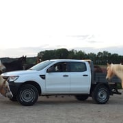 Ford Ranger mit umgebautem Flatbed, ideal für Hufschmiede und Pferdebesitzer