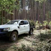 Pickup für Garten- und Landschaftsbauer Ford Ranger mit PEPE Ladefläche im Einsatz bei Waldarbeiten