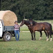 Ladeflächenumbau auf Ford Ranger Pickup für flexible Transporte wie Heuballen für Pferde und oder Lasten