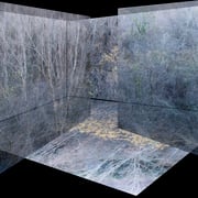 Mar Garrido y Paco Lagares