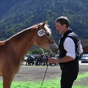 KOLONJA   Besitzer: Mark Christian, Pfunds