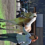 HEIDINA   Besitzer: Westreicher Marion, Pfunds