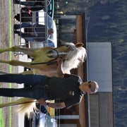 HAIBA   Besitzer: Mag. Paul Greiter, Serfaus