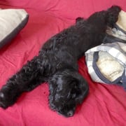 erst mal entspannen.