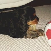 Bald nin ich größer als der Ball