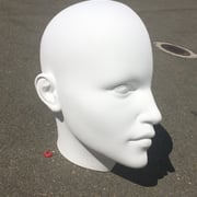 Media Cabeza gigante ...