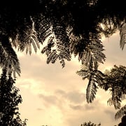 2024/8ジャカランタ