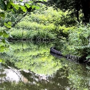 2024/10　三四郎池