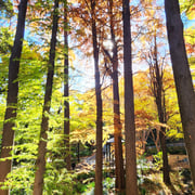 2025/12　林試の森