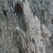 ambiance du village perché