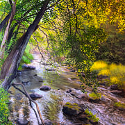 David Bottini, "Last Summer Days", 28” x 22”, acrylic on canvas