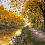 David Bottini, "Canal Color", 16" x 20”, acrylic on canvas