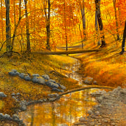 David Bottini, "Tumbled Gold", 30” x 24”, acrylic on canvas