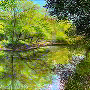 David Bottini, "Glistening June", 8” x 10”, acrylic on canvas