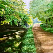 David Bottini, "Sun Bleached Curve", 11” x 14”, acrylic on hardwood