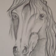 Acryl auf Leinwand   100 cm x 100 cm ............