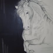 Acryl auf Leinwand   100 cm x 100 cm ............