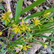 Foto © Margareta Loscher