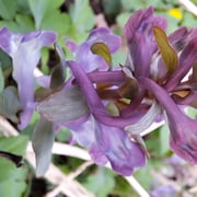 Foto © Margareta Loscher