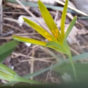 Foto © Margareta Loscher