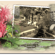 Carte 02 - DOMAINE NAUTON TRUQUEZ datée (Parc)