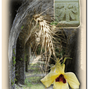 Carte 11 - MOISSON D'IMAGES SORDIANES