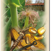 Carte 14 - FLORILÈGE EN PAYS D'ORTHE (Maïs)