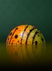 Portret van een bonbon in atelier van Maurice Daamen in Nuenen door Jordy Leenders van Axis Studio.