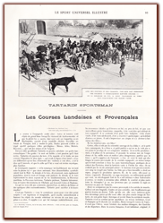 orthe, landes, aquitaine, peyrehorade, course landaise, ganaderia, sauteur, cordier, talanquère, vache