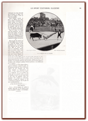 orthe, landes, aquitaine, peyrehorade, course landaise, ganaderia, sauteur, cordier, talanquère, vache