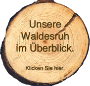 Übersichtsplan Hotel Waldesruh bei Bad Bevensen