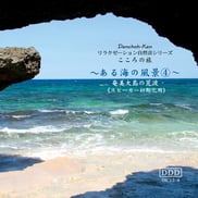 海4 荒海-2 奄美大島の海