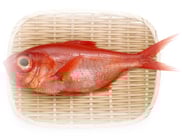 魚：馬乃屋こだわり