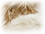 米：馬乃屋こだわり