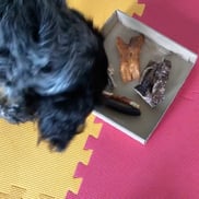 Foto: © Esther Hufschmid