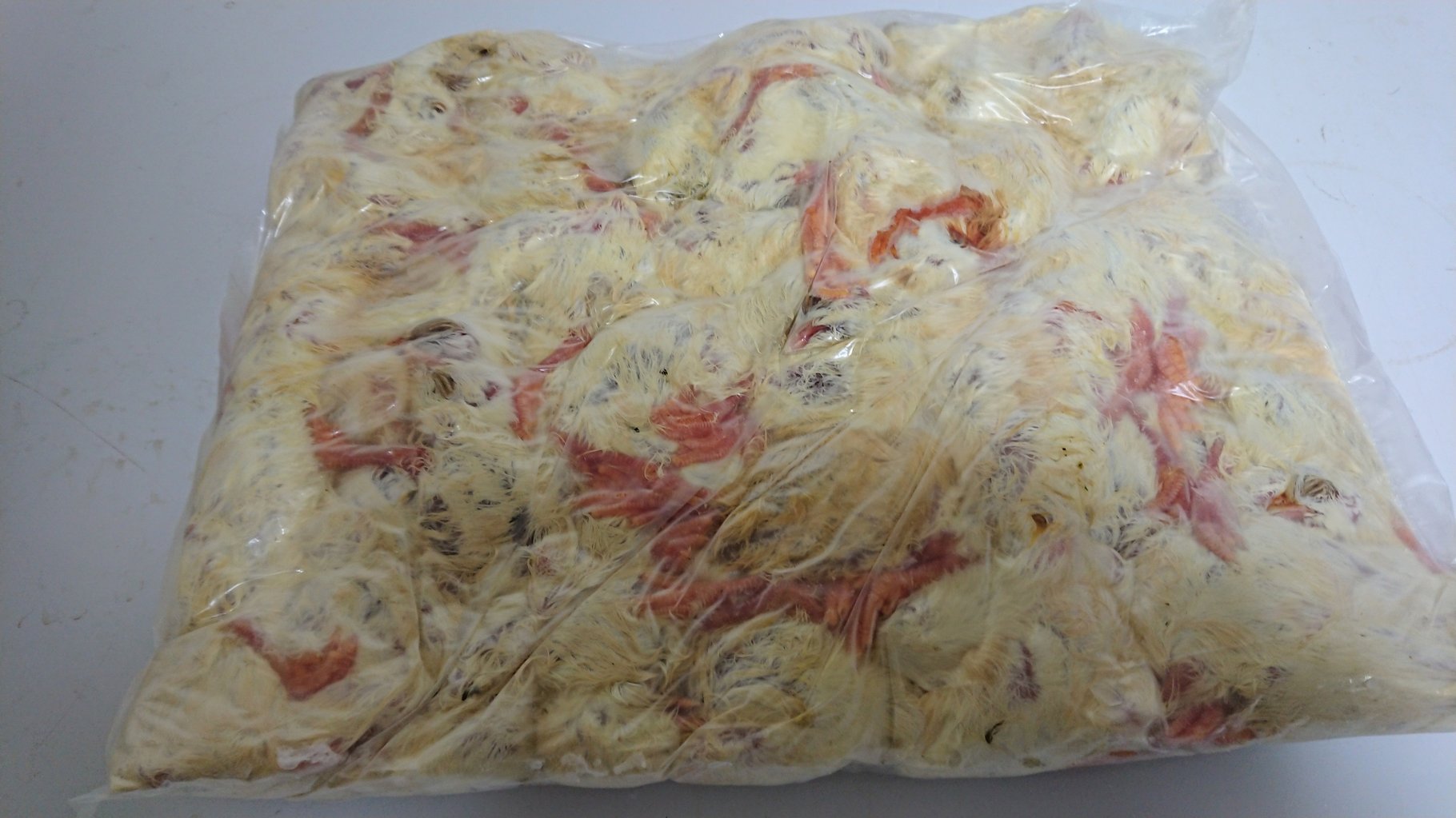 冷凍ヒヨコ 1羽20円 冷凍ひよこ 冷凍ウズラ 冷凍ウズラ 激安販売